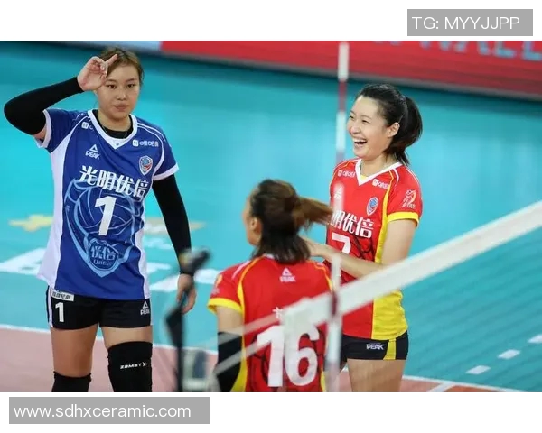 南京排球队在杯赛中的耐力表现分析与启示