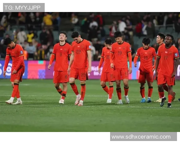 印尼红色足球明星阵容揭秘与他们的辉煌成就分析