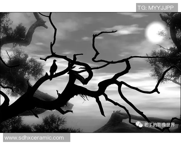 孤独的绿茵传奇：探寻最孤独足球明星背后的心路历程与情感世界