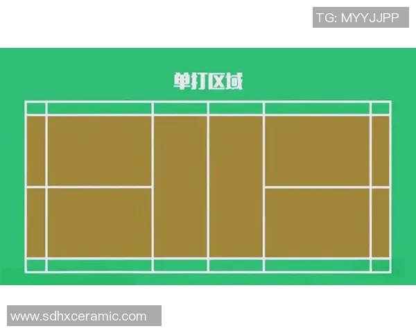 羽毛球新手攻略：个人能力入门指南