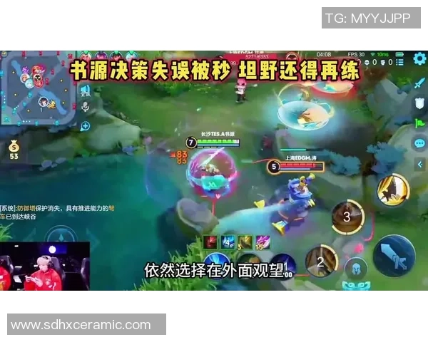 王者荣耀巨献：探秘TES的比赛经验