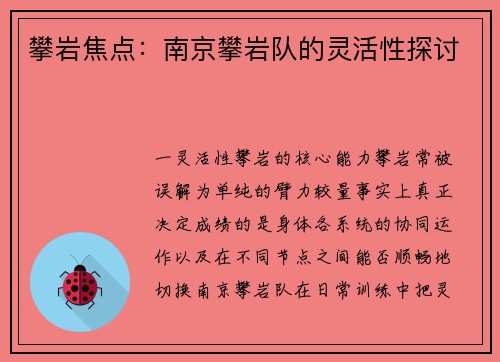 攀岩焦点：南京攀岩队的灵活性探讨