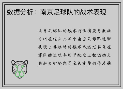 数据分析：南京足球队的战术表现