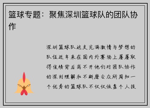 篮球专题：聚焦深圳篮球队的团队协作